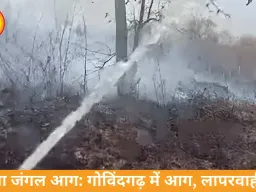 रीवा के गोविंदगढ़ जंगलों में आग, मानवीय लापरवाही की आशंका