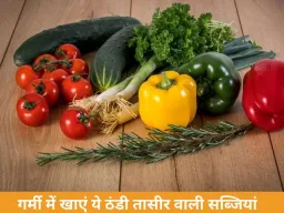 गर्मी में इन सब्जियों का सेवन रखें शरीर को ठंडा, पाचन रहेगा दुरुस्त