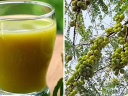 सुबह खाली पेट आंवला जूस पीना फायदेमंद, वजन कंट्रोल के साथ कई बीमारियों से भी बचाव
