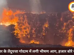 बस्तर के तेंदूपत्ता गोदाम में भीषण आग, हजार बोरे राख; बीजापुर मामले में DFO हटाए गए