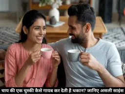 थकान या सिर्फ दिमाग का खेल? चाय पीते ही क्यों आ जाती है ताजगी