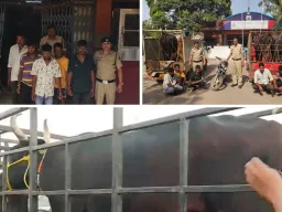 चरने गए मवेशियों की चोरी: CCTV बना गवाह, कुछ ही घंटों में 5 आरोपी गिरफ्तार