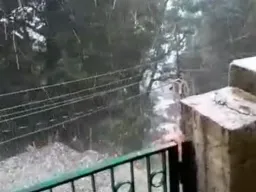 VIDEO : नैनीताल में अचानक बदला मौसम, तेज आंधी और ओलावृष्टि से जनजीवन प्रभावित
