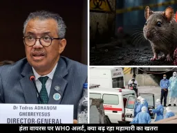 हंता वायरस को लेकर WHO ने दिया अलर्ट, क्या दुनिया पर फिर मंडरा रहा कोरोना जैसी महामारी का खतरा?