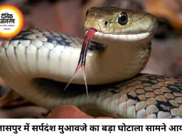 बिलासपुर में सर्पदंश मुआवजा घोटाला, 17 करोड़ का फर्जीवाड़ा उजागर