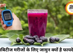 डायबिटीज मरीजों के लिए क्यों खास है जामुन? ब्लड शुगर कंट्रोल से लेकर दिल की सेहत तक पहुंचाता फायदे
