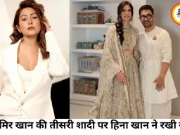 आमिर खान की तीसरी शादी पर हिना खान की दो टूक, बोलीं- हमारे समाज में इसे अच्छा नहीं माना जाता