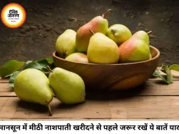 मानसून में मीठी और रसीली नाशपाती खरीदने से पहले जान लें ये जरूरी बातें