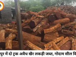 रायपुर में अवैध खैर लकड़ी का बड़ा भंडाफोड़, दो ट्रक से ज्यादा माल जब्त; तस्करी नेटवर्क की जांच तेज