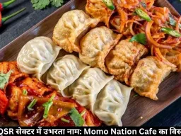 भारत के QSR सेक्टर में उभरता नाम: Momo Nation Cafe का विस्तार मॉडल