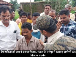 मंडला में घर से महिला को उठा ले गया बाघ, इलाज के दौरान मौत; ग्रामीणों ने वन विभाग के खिलाफ किया प्रदर्शन