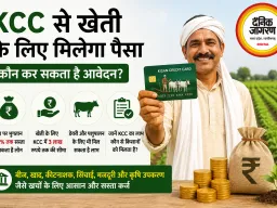 खेती के लिए चाहिए पैसा तो ऐसे मिलेगा किसान क्रेडिट कार्ड से कर्ज, जानें कौन कर सकता है आवेदन
