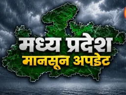 MP के 52 जिलों में बारिश का अलर्ट, पन्ना-सतना-रीवा में तेज बारिश के आसार