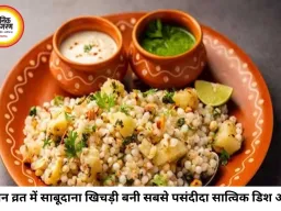 सावन व्रत में क्यों है साबूदाना खिचड़ी पहली पसंद? स्वाद, ऊर्जा और सेहत का बेहतरीन संगम