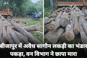 बीजापुर में वन विभाग की बड़ी कार्रवाई: अवैध सागौन लकड़ी का डंप पकड़ा, जांच जारी