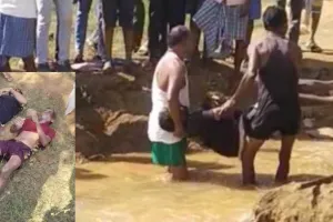 शहद निकालते वक्त मधुमक्खियों का हमला, तालाब में कूदे पिता-पुत्र, मौत