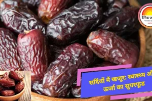 सर्दियों में जानें, खजूर खाने के फायदे ,स्वास्थ्य के लिए पावरहाउस...