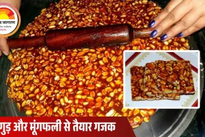 ठंड में घर पर बनाएं कुरकुरी मूंगफली गजक, स्वाद और सेहत दोनों का 