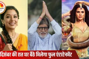घर पर मनाएंगे नए साल का जश्न? 31 दिसंबर की रात टीवी पर अवॉर्ड शो, ड्रामा और कॉमेडी का फुल पैक