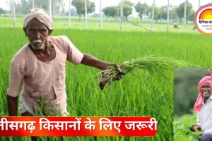 छत्तीसगढ़ के किसानों के लिए बड़ी खबर: रबी फसलों का बीमा कराने की अंतिम तिथि 31 दिसंबर 2025