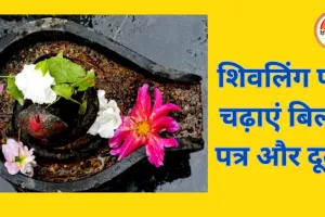 संकष्टी चतुर्थी 2025: शिवलिंग पर चढ़ाएं ये चीजें, मिलेगा विशेष कल्याण