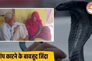 75 साल के सीताराम की रहस्यमयी कहानी: 42 साल में 14 बार सांप ने डसा, हर बार मौत से लौटे जिंदा