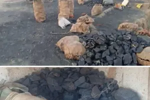 कोयला माफिया पर पुलिस का प्रहार: जंगल में छिपाया गया 3 टन अवैध कोयला जब्त, बड़ा नेटवर्क बेनकाब