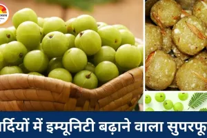 अमृत से कम नहीं आंवले का लड्डू, कसेलापन होगा दूर, स्वाद भी सेहत भी