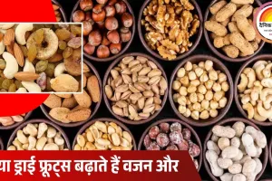 सर्दियों में रोज ड्राई फ्रूट्स खाना कितना सुरक्षित? वजन और शुगर पर असर को लेकर डॉक्टरों की साफ राय