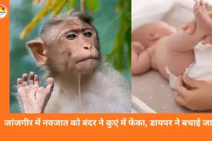 जांजगीर में चमत्कार: बंदर ने 15 दिन की नवजात को कुएं में गिराया, डायपर ने बचाई जान