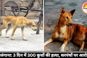 तेलंगाना में मानवता शर्मसार: 3 दिन में 300 आवारा कुत्तों को मौत, गांव के सरपंचों पर FIR