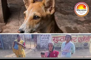 आवारा कुत्तों का आतंक: बालोद के दो गांवों में एक ही दिन 10 लोग घायल, दहशत के साये में ग्रामीण