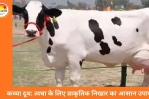 गाय का कच्चा दूध: त्वचा की समस्याओं का प्राकृतिक समाधान, टैनिंग हटाकर लाए निखार