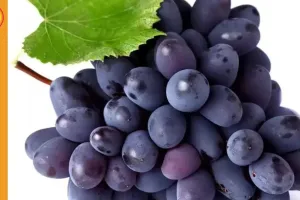 काला अंगूर: स्वास्थ्य के लिए सुपरफूड, जानिए रोजाना खाने के फायदे