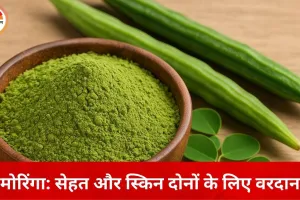 सुपरफूड मोरिंगा: अंदर से ताकत, बाहर से निखार