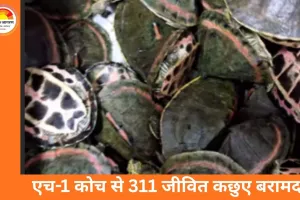 पटना–इंदौर एक्सप्रेस में 311 कछुओं की तस्करी का पर्दाफाश