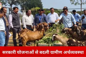 कृषि और पशुपालन से बदली ग्रामीण तस्वीर, सरकारी योजनाओं ने किसानों को बनाया उद्यमी
