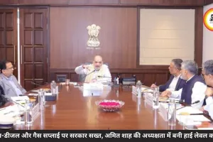 पेट्रोल-डीजल और गैस सप्लाई पर सरकार सख्त, अमित शाह की अध्यक्षता में बनी हाई लेवल कमिटी