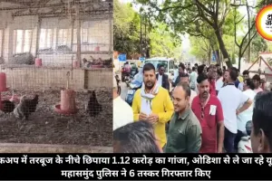 बिलासपुर में बर्ड फ्लू का कहर, चिकन-अंडा दुकानों पर प्रतिबंध, कारोबारियों ने विधायक बंगले का घेराव किया