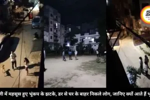 दिल्ली में महसूस हुए भूंकप के झटके, डर से घर के बाहर निकले लोग, जानिए क्यों आते हैं भूकंप