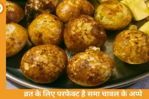 Chaitra Navratri 2026: व्रत में बनाएं क्रिस्पी समा चावल के अप्पे, आसान और हेल्दी रेसिपी