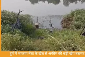 भाजपा नेता के खेत में उगाई जा रही थी अफीम, पुलिस ने उखाड़ी पूरी फसल