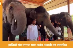 अनंत अंबानी का जन्मदिन जयपुर में खास अंदाज में मना: हाथियों संग काटा केक, 3000 किलो फलों की दावत बनी आकर्षण