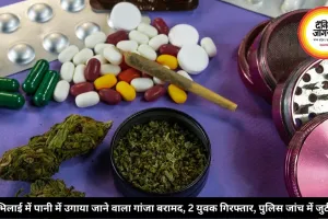 भिलाई में पानी में उगाया जाने वाला गांजा बरामद, 2 युवक गिरफ्तार, पुलिस जांच में जुटी