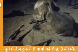 दुर्ग में तेज रफ्तार ट्रक ने 6 गायों को रौंदा, 3 की मौत; ग्रामीणों का चक्काजाम, भारी वाहनों पर रोक की मांग