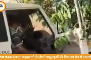 मड़वारानी से लौटते श्रद्धालुओं की पिकअप पेड़ से टकराई, 9 घायल