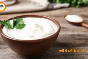 गर्मी में दही के फायदे: पाचन से लेकर इम्यूनिटी तक वरदान