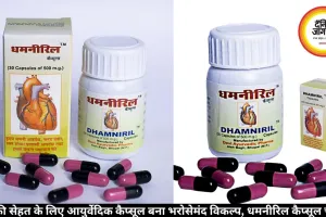 दिल की सेहत के लिए आयुर्वेदिक कैप्सूल बना भरोसेमंद विकल्प, धमनीरिल कैप्सूल चर्चा में
