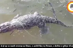 करंट से हो रहा था मछली-मगरमच्छ का शिकार, 3 आरोपी किए गए गिरफ्तार, 4 बैटरियां-3 यूपीएस भी बरामद