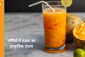 गर्मियों में ठंडक और स्वास्थ्य का खजाना:: बेल का शर्बत